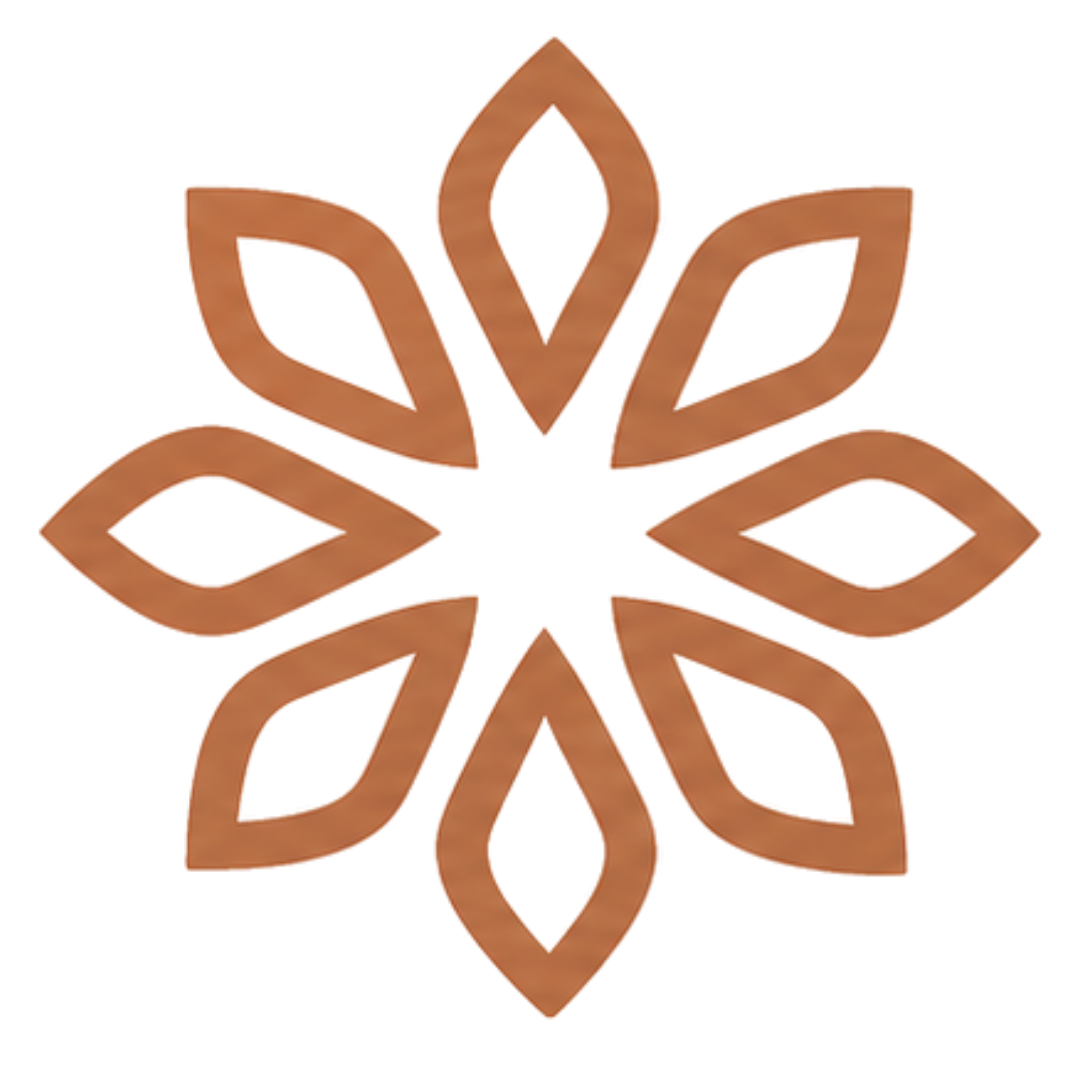 Logo NUSAHERA